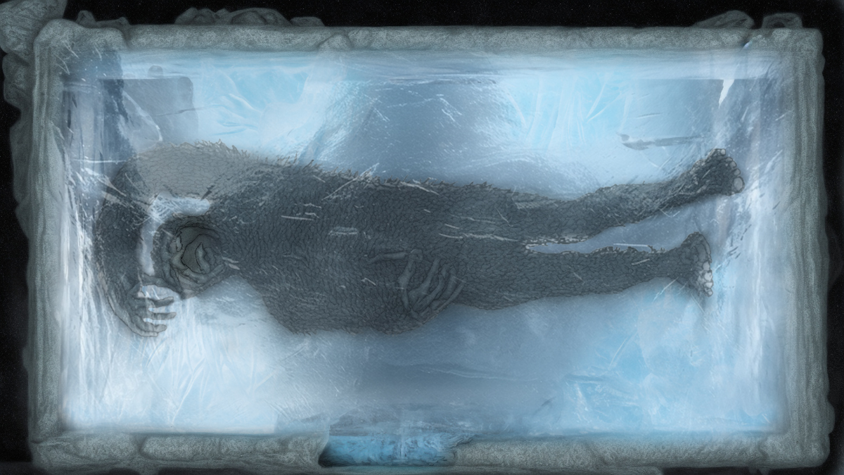 The Minnesota Iceman seen here frozen in a block of ice